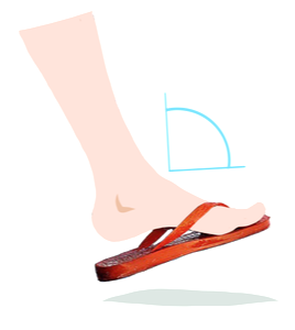 flip flop illustration
